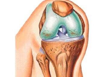The main causes of illegal knee